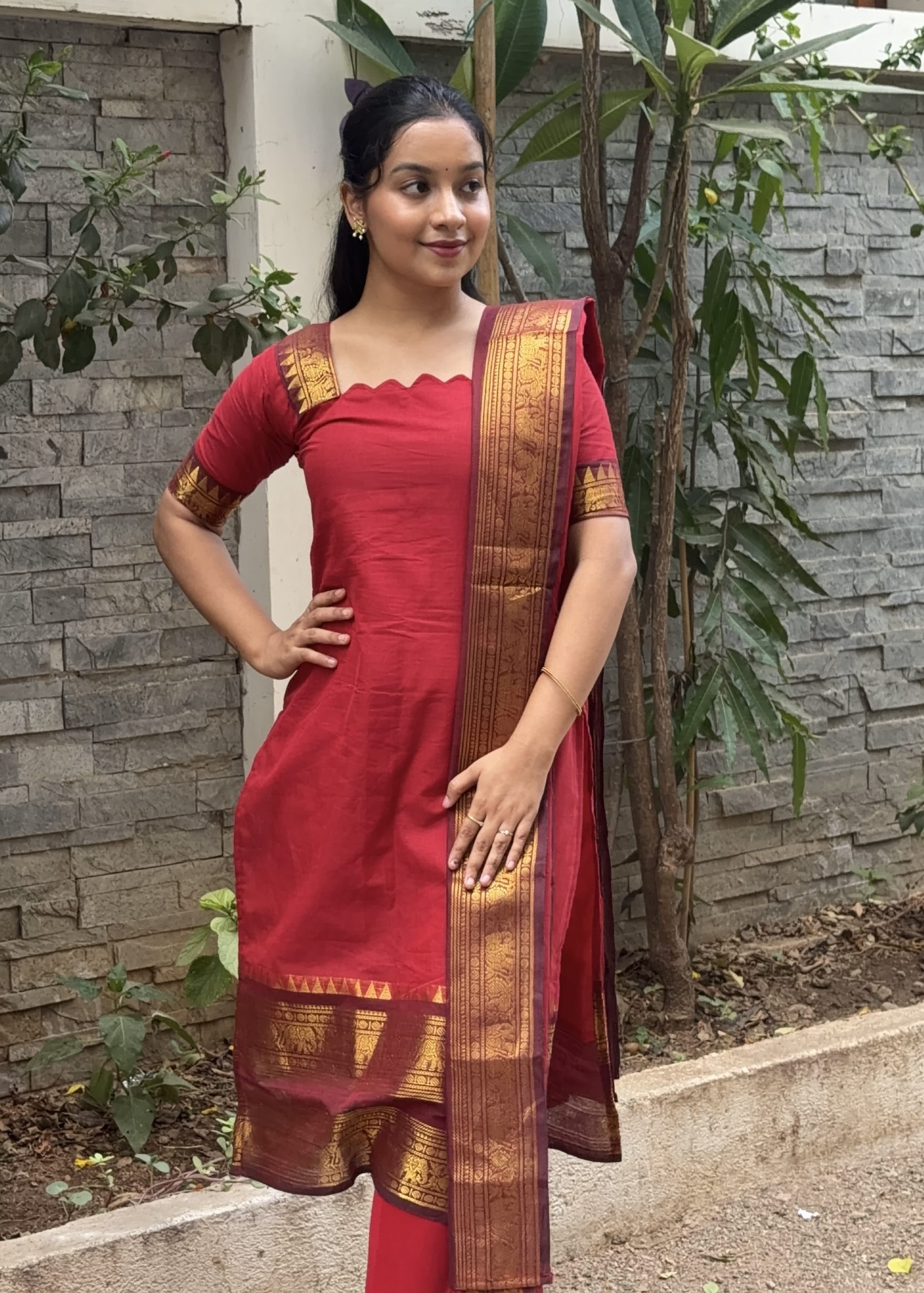 Narayanpet elephant border kurti